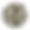 Cabochon feuille végétaux, résine ou en verre différente taille