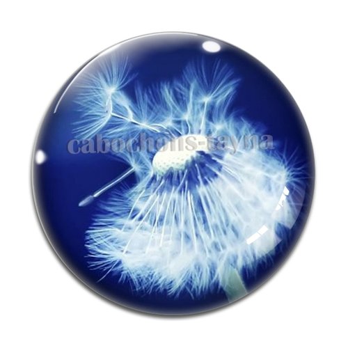 Cabochon pissenlit, résine ou en verre différente taille