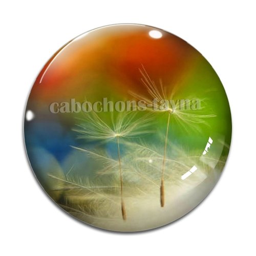 Cabochon pissenlit, résine ou en verre différente taille