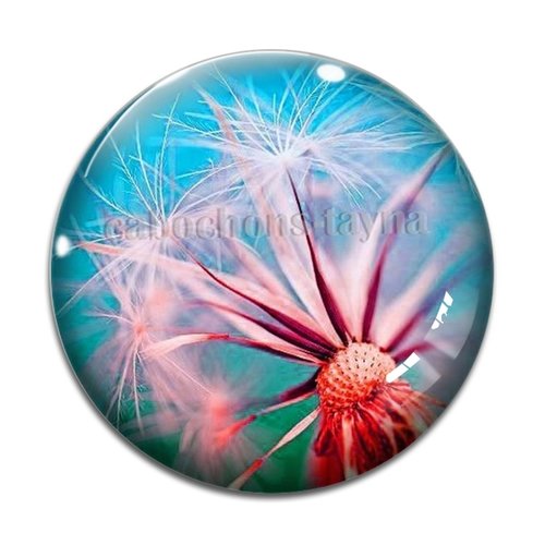 Cabochon pissenlit, résine ou en verre différente taille