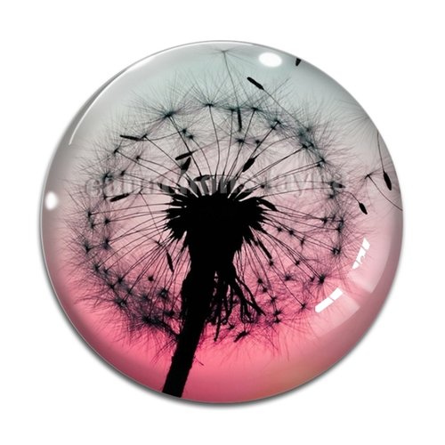 Cabochon pissenlit, résine ou en verre différente taille
