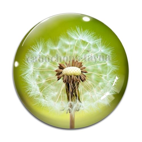 Cabochon pissenlit, résine ou en verre différente taille