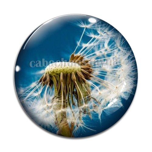 Cabochon pissenlit, résine ou en verre différente taille