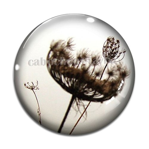 Cabochon pissenlit, résine ou en verre différente taille