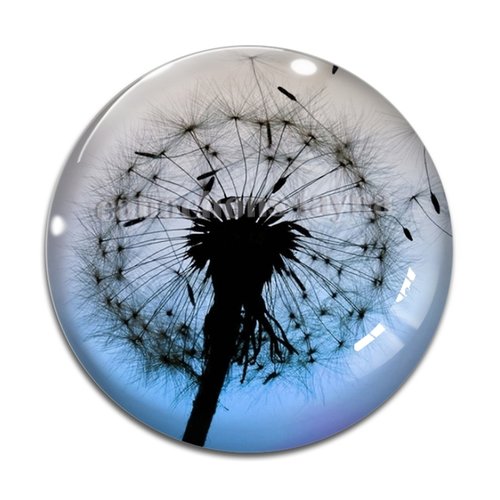 Cabochon pissenlit, résine ou en verre différente taille