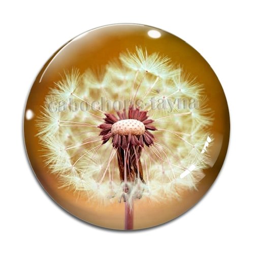 Cabochon pissenlit, résine ou en verre différente taille