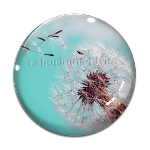 Cabochon pissenlit, résine ou en verre différente taille