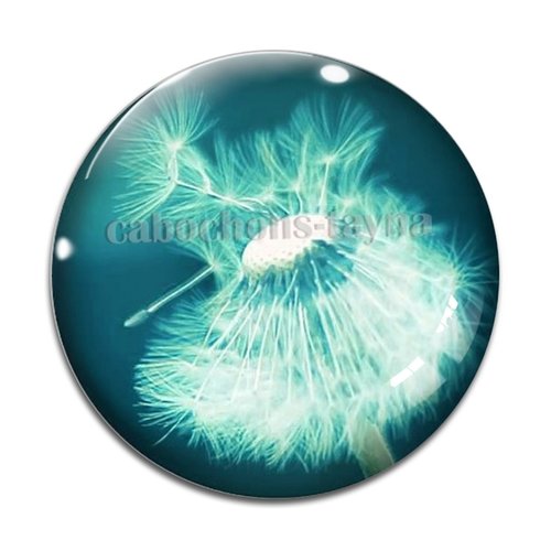 Cabochon pissenlit, résine ou en verre différente taille