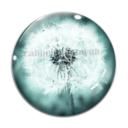 Cabochon pissenlit, résine ou en verre différente taille