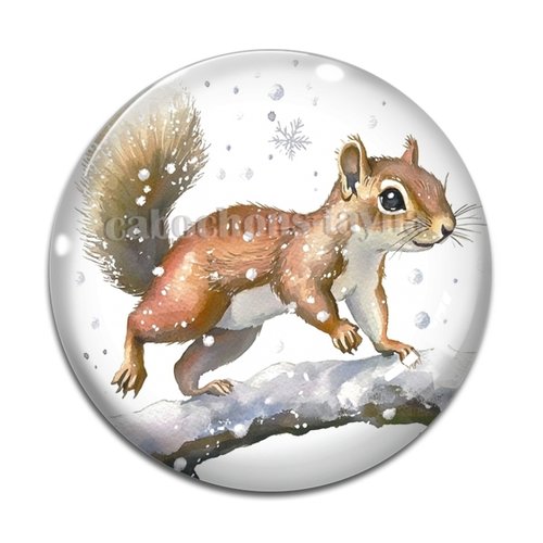 Cabochon écureuil, en résine ou en verre différente taille