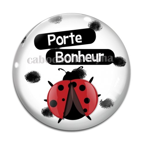 Cabochon porte bonheur, en résine ou en verre différente taille