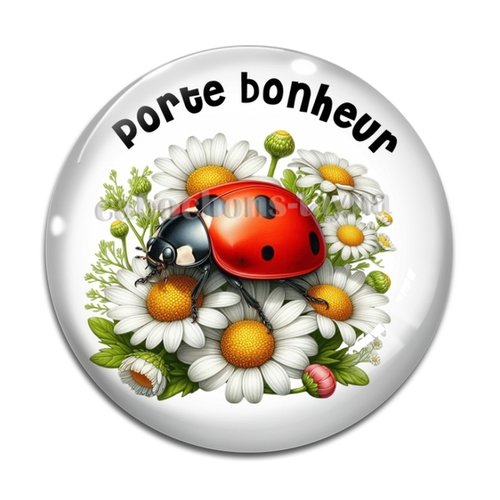 Cabochon porte bonheur, en résine ou en verre différente taille