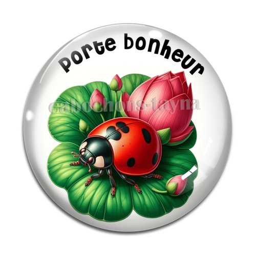 Cabochon porte bonheur, en résine ou en verre différente taille