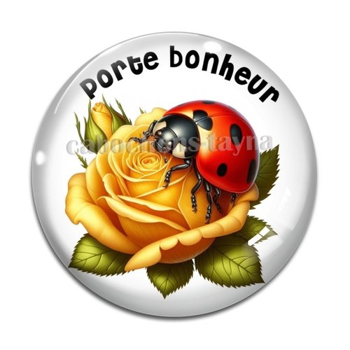 Cabochon porte bonheur, en résine ou en verre différente taille