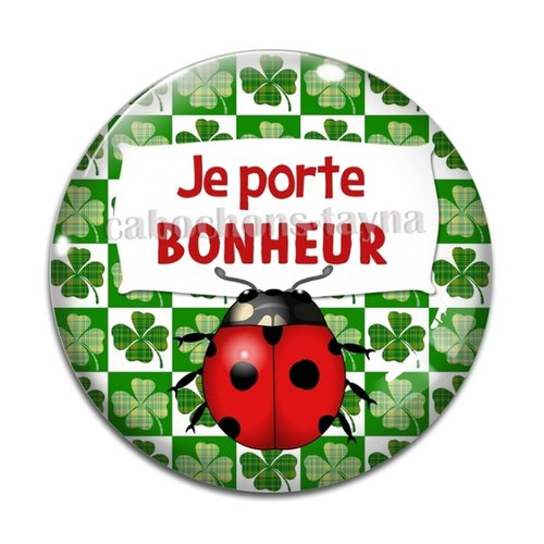 Cabochon porte bonheur, en résine ou en verre différente taille