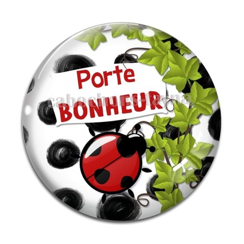Cabochon porte bonheur, en résine ou en verre différente taille