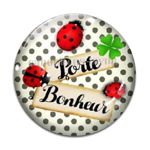 Cabochon porte bonheur, en résine ou en verre différente taille