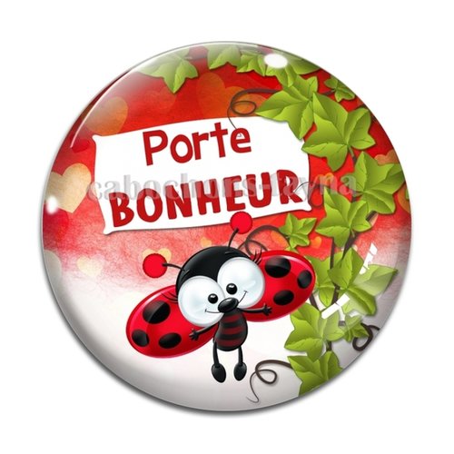 Cabochon porte bonheur, en résine ou en verre différente taille