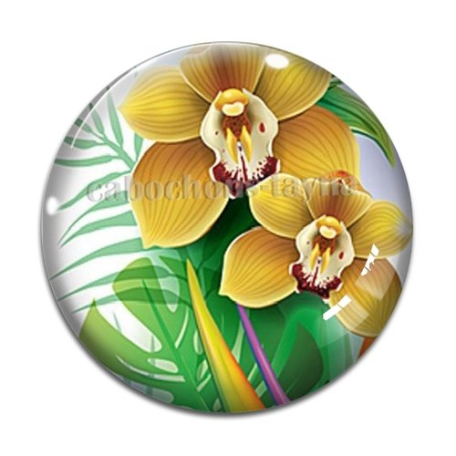Cabochon fleur exotique, résine ou verre différente taille
