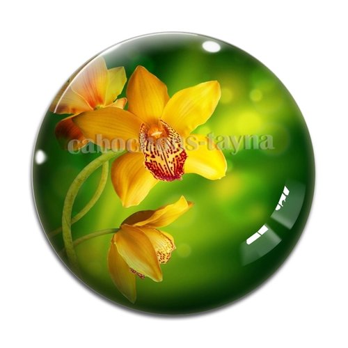Cabochon fleur exotique, résine ou verre différente taille