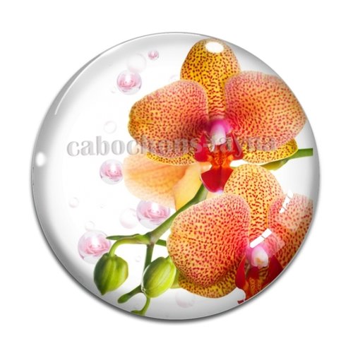 Cabochon fleur orchidée, résine ou verre différente taille