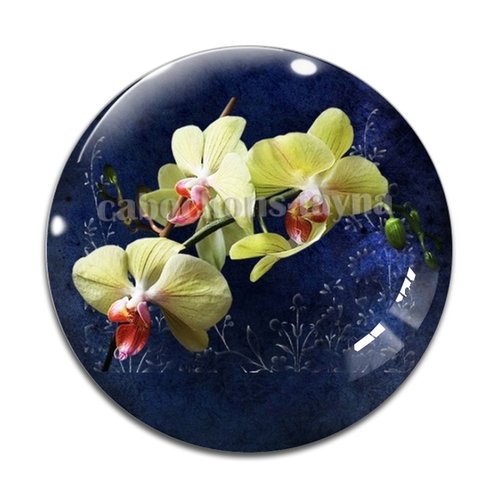 Cabochon fleur orchidée, résine ou verre différente taille