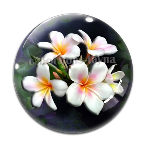 Cabochon fleur exotique, résine ou verre différente taille