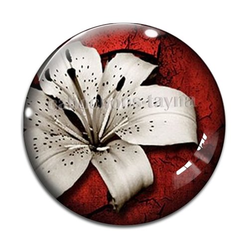 Cabochon fleur exotique, résine ou verre différente taille