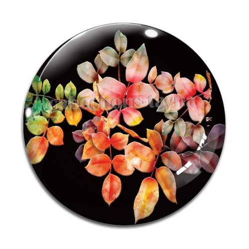 Cabochon feuille, résine ou verre différente taille