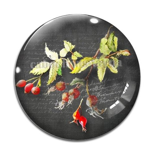 Cabochon fleur exotique, résine ou verre différente taille