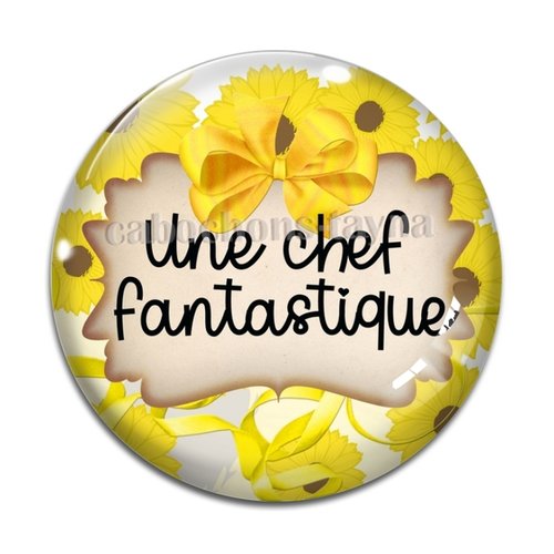Cabochon chef fantastique, cabochon résine, verre rond différente taille