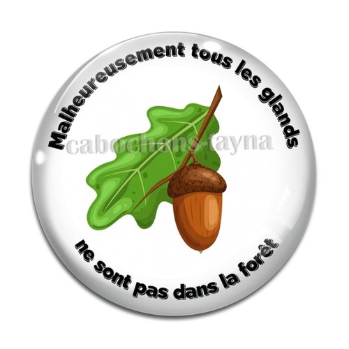 Cabochon malheureusement tous les glands ne sont pas dans la forêt , en résine ou en verre différente taille