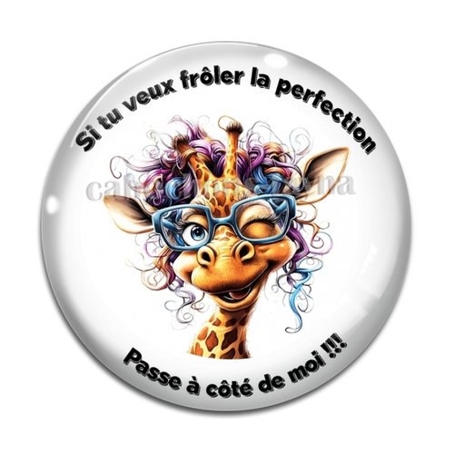 Cabochon si tu veux frôler la perfection passe à côté de moi, en résine ou en verre différente taille