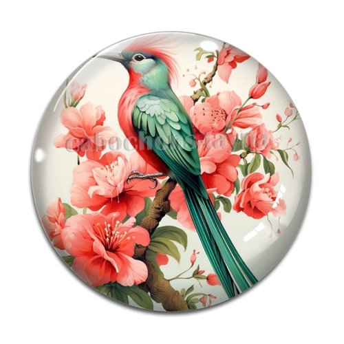 Cabochon oiseaux fleur, résine ou verre différente taille