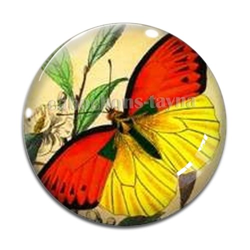 Cabochon papillon, résine ou verre différente taille