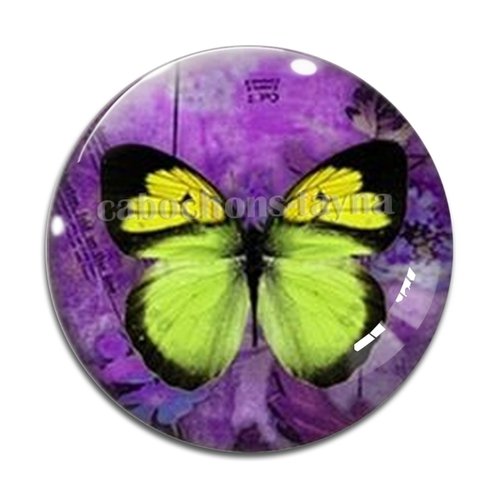 Cabochon papillon, résine ou verre différente taille