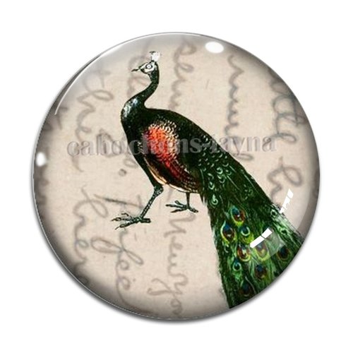 Cabochon paon, résine ou verre différente taille