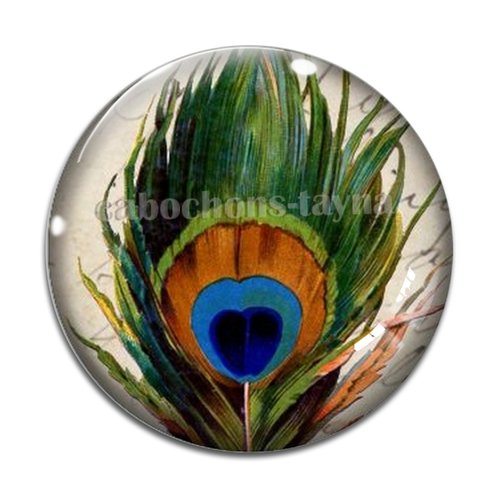 Cabochon plume paon, résine ou verre différente taille