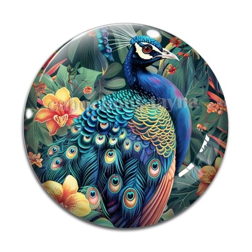 Cabochon paon, résine ou verre différente taille