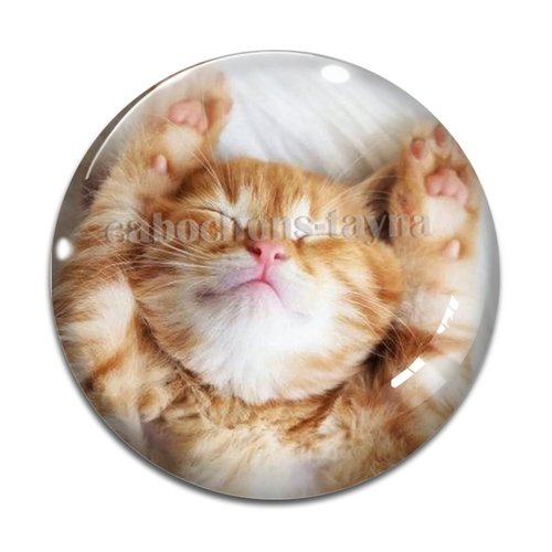 Cabochon chat, résine ou verre différente taille