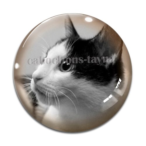 Cabochon chat, résine ou verre différente taille