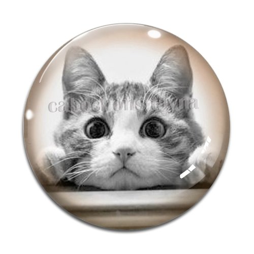 Cabochon chat, résine ou verre différente taille