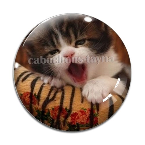 Cabochon chat, résine ou verre différente taille