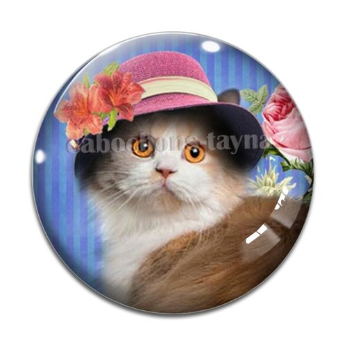 Cabochon chat, résine ou verre différente taille