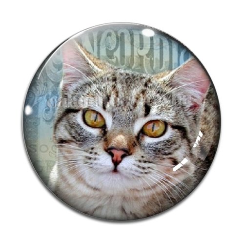 Cabochon chat, résine ou verre différente taille