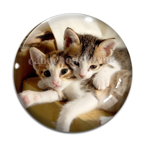 Cabochon chat, résine ou verre différente taille