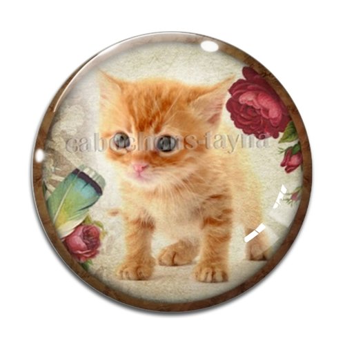 Cabochon chat, résine ou verre différente taille