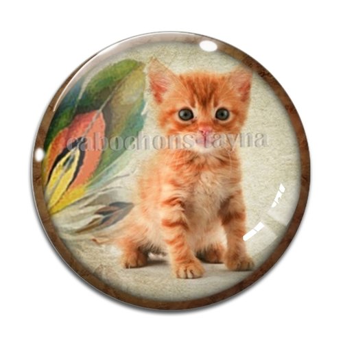 Cabochon chat, résine ou verre différente taille