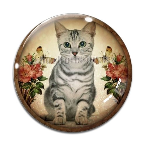 Cabochon chat, résine ou verre différente taille