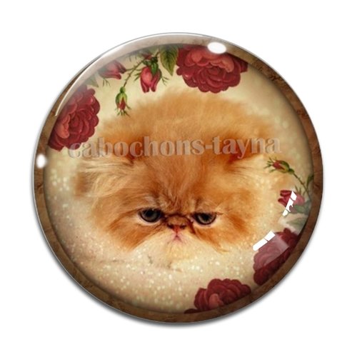 Cabochon chat, résine ou verre différente taille